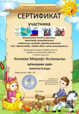 Сертификат участника