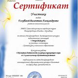 Сертификат конкурса "Открытый урок" 