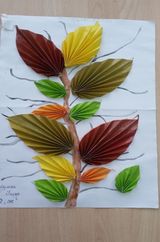 Қайыржанова Іңкәр 2 – сынып оқушысы