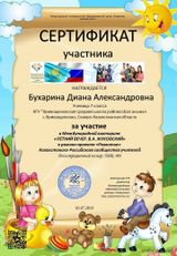Сертификат участника