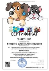 Сертификат участника