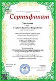 Сертификат конкурса "Талант педагога"