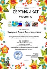 Сертификат участника