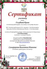 Сертификат конкурса "Новогодние истории"