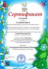 Сертификат участника "Снежная нежная сказка зимы"