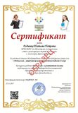 Образец Сертификата 1 Место «Мой коллега – яркий  пример компетентного педагога 21 века»