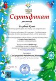 Сертификат участника "Снежная нежная сказка зимы"