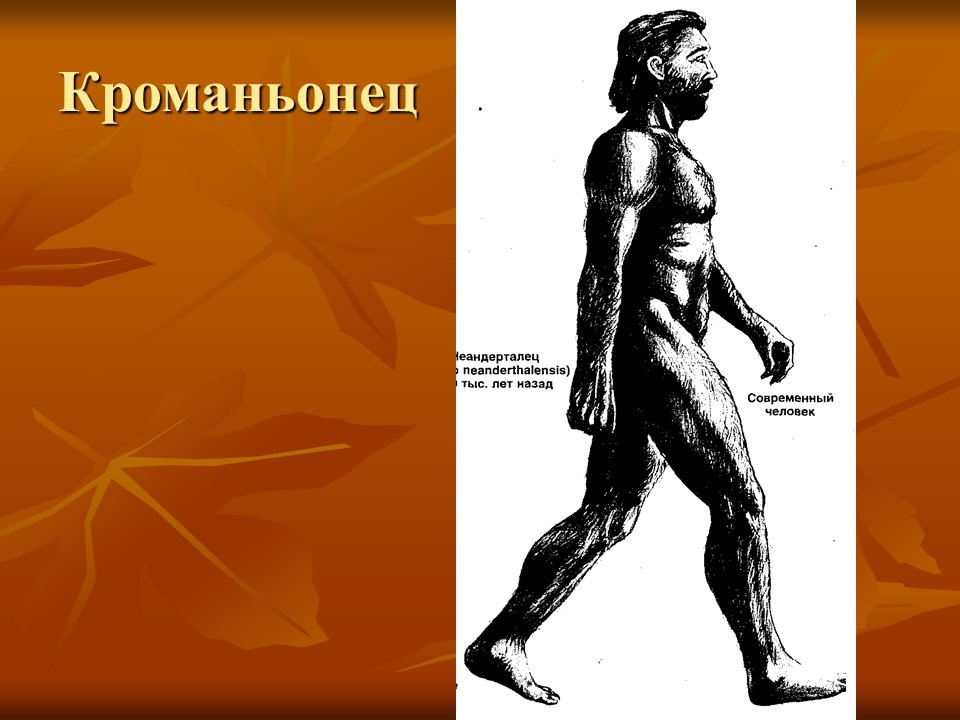 Кроманьонец презентация по биологии 9 класс