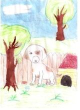 Сейтбекқызы Арайлым - рисунок 1 "Мой любимый питомец"