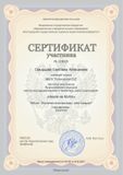 Скворцова Светлана, 10 класс