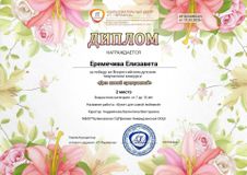 Еремичева Елизавета, 2 класс