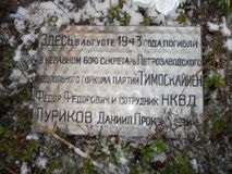 Луриков Даниил погиб при приземлении во время высадки на оккупированную врагом территорию.