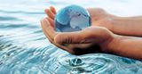 22 марта – Всемирный день воды