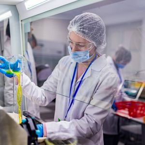 Более 2,5 миллиона человек вовлечены в движение «Профессионалы» в 2026 году