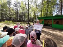 Формируем модель безопасного поведения детей в социуме