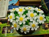 Корзиночка с ромашками к благотворительной акции "Белый цветок" (техника канзаши)