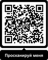 Руководитель организации