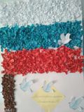 Старшая группа Б