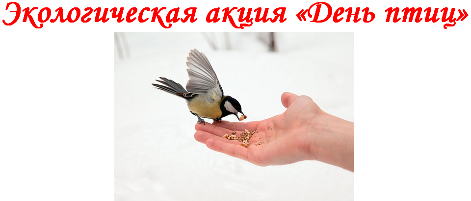 День птиц. Акция день птиц. Международный день Пти. 1 Апреля день птиц. Всемирный день птиц в детском