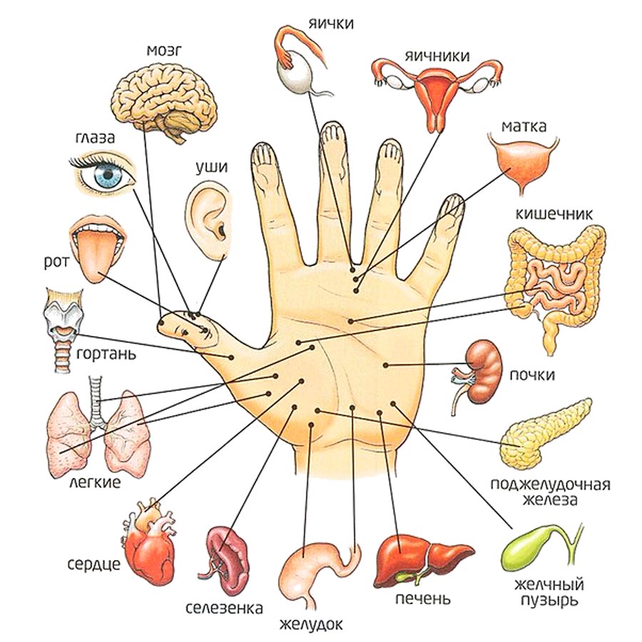 Точки на ладонях.