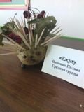 Ежик. Семья Попенко Полины