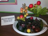 Дружная компания. Семья Каратаева Яромира