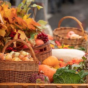 Осенняя ярмарка в детском саду: праздник вкуса и творчества!