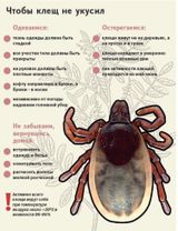 Чтобы клещ не укусил