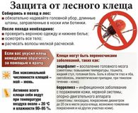 Защита от клещей