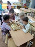 Интересный мир ракушек