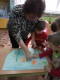 Аквариумные рыбки