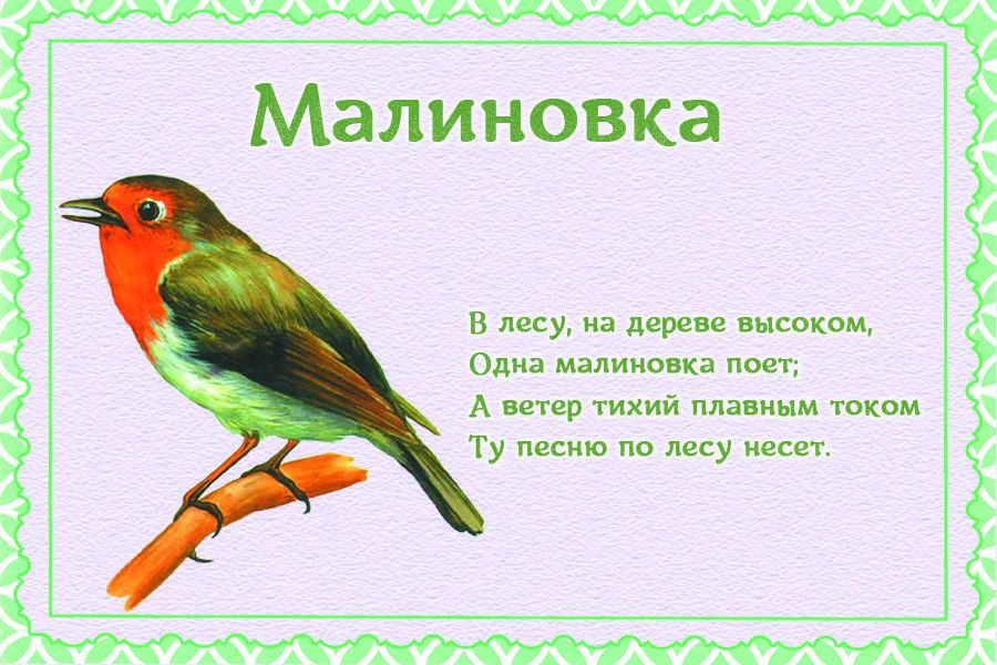 Стихи про перелетных птиц для детей