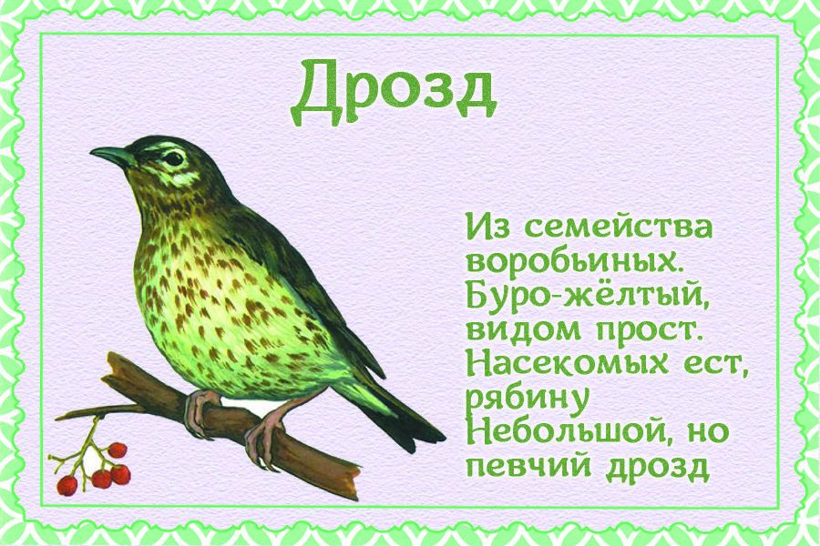 Стихи про птиц для детей. Стихи про птиц для малышей. Стих о пнрелетных птицах. Стихи про перелетных птиц для детей