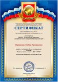 Сертификат : Игровая деятельность в ДОУ по ФГОС"