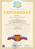 Сертификат об участии в мастер-классе