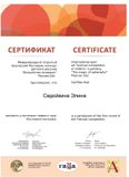 Седойкина Элина - участница