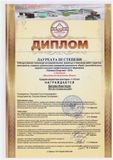 Шитова Настя - Лауреат III степени