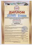 Седойкина Алина - Дипломант II степени
