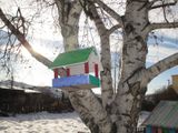 Захартинов Егор, средне-старшая группа