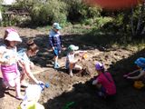 Сажаем горох