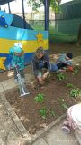Посадка цветов. 1 младшая группа "Радуга"