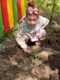 Посадка цветочка.2 младшая группа "Любознайки"