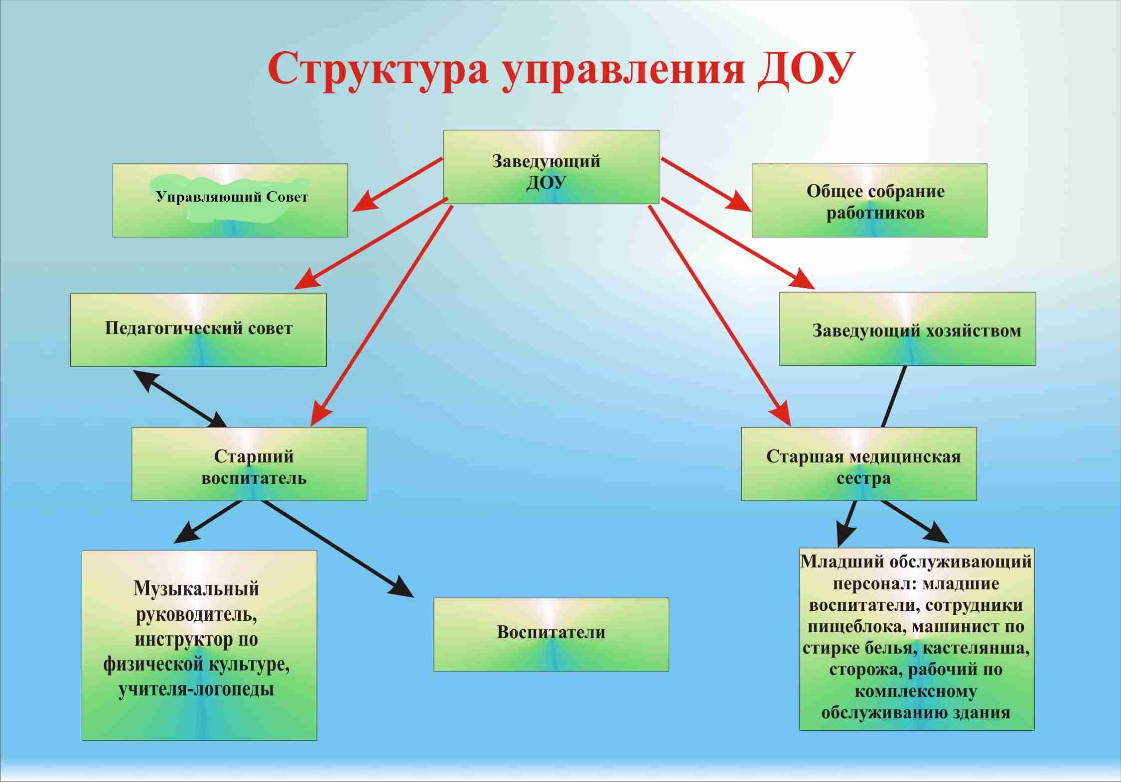 Структура службы доу схема