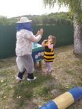 Пчелиный танец