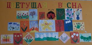 Средняя группа №9