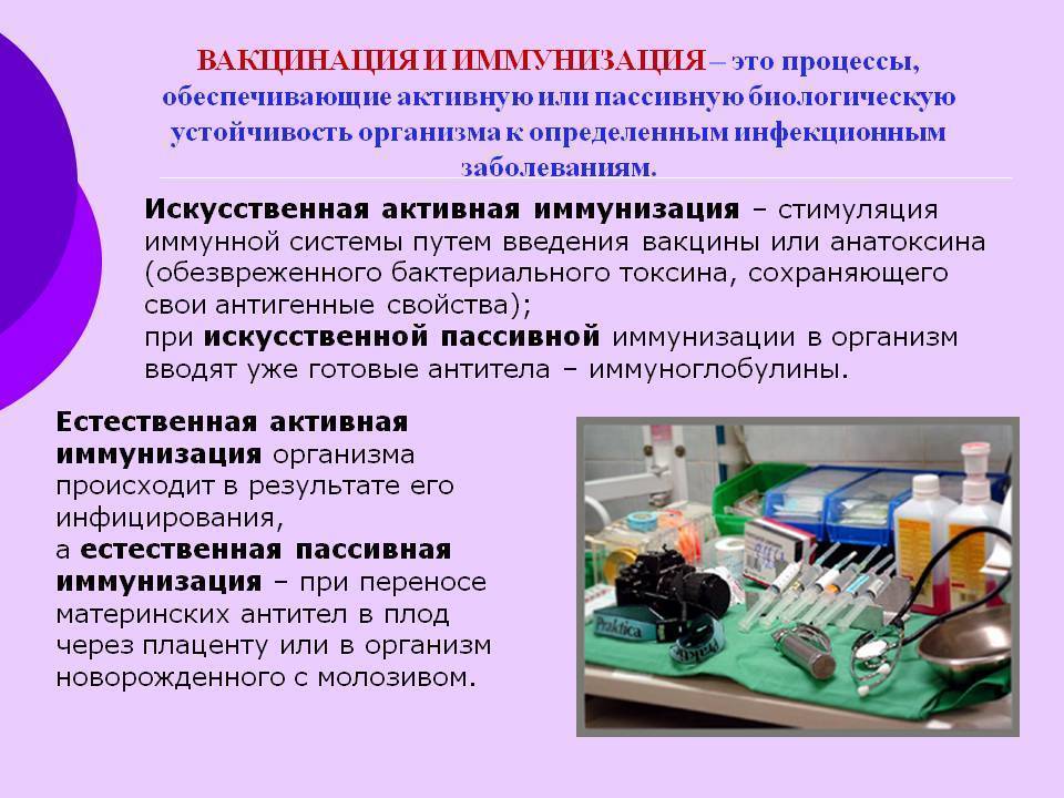 Вакцинация и иммунизация. Иммунизация населения. Активная и пассивная иммунизация. Иммунизация для детей подготовительной группы. Естественная иммунизация.