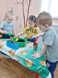 Сажаем  цветы.