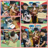 Сюжет игры "Новая кошка в доме"