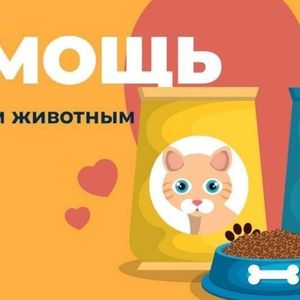 Акция "Первые с заботой"