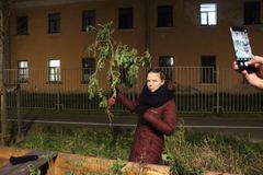 Посещение Огорода на Карповке